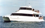 New Vessel Design New Vessel Design